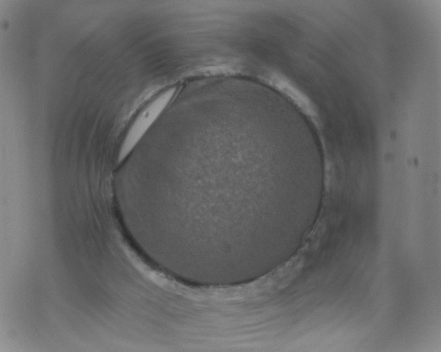 X0000074300009200609081928