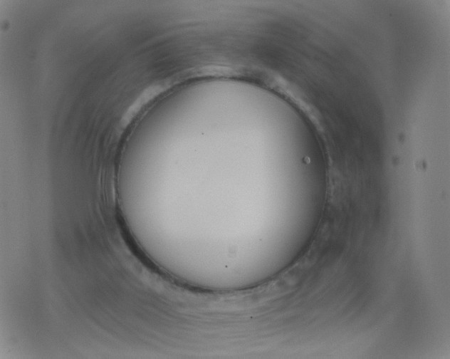 X0000074300011200609081928