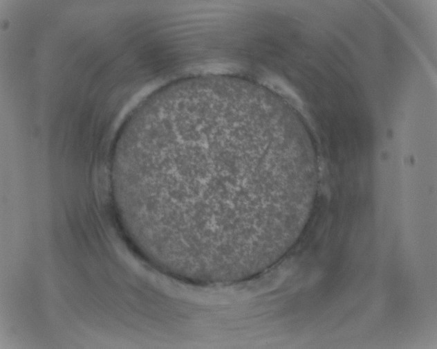 X0000074300012200609081928