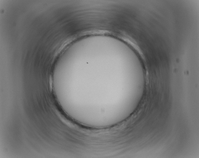 X0000074300013200609081928