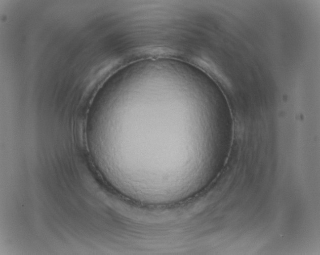 X0000074300014200609081928