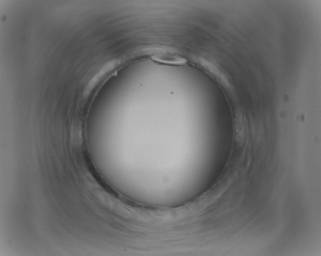 X0000074300015200609081928