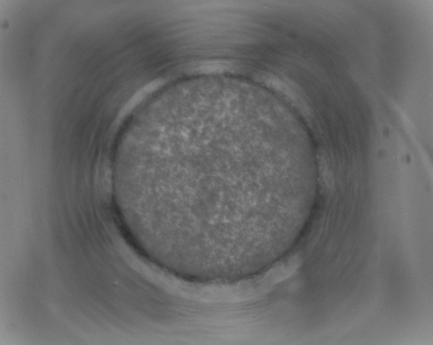 X0000074300016200609081928