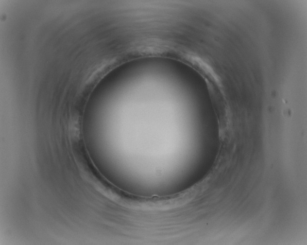 X0000074300017200609081928