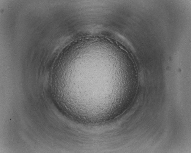 X0000074300018200609081928