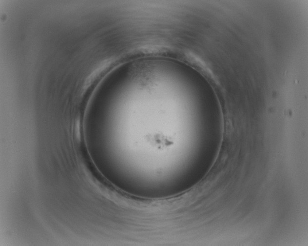 X0000074300019200609081928