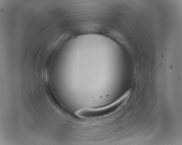 X0000074300021200609081928