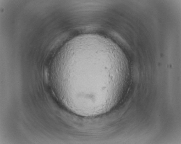 X0000074300022200609081928