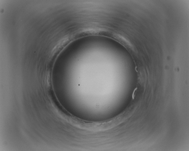 X0000074300023200609081928