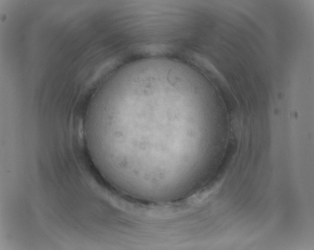 X0000074300024200609081928