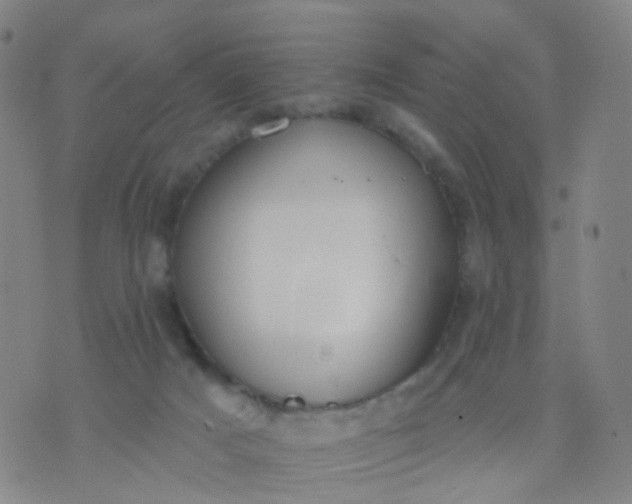 X0000074300025200609081928