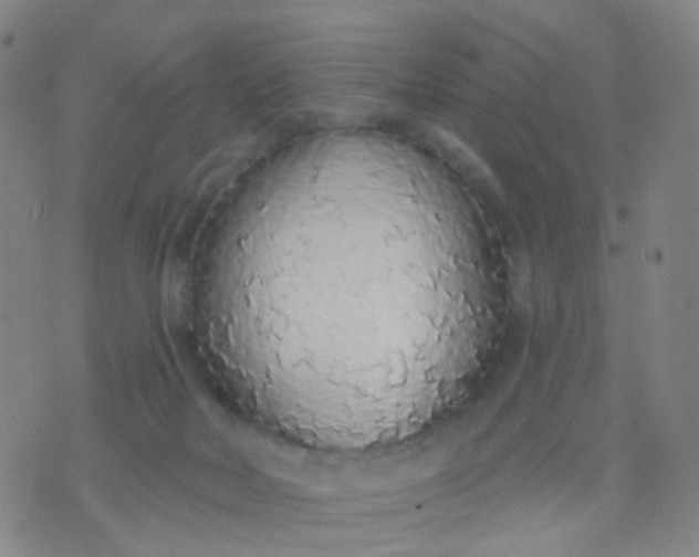 X0000074300026200609081928