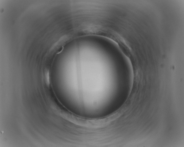 X0000074300027200609081928