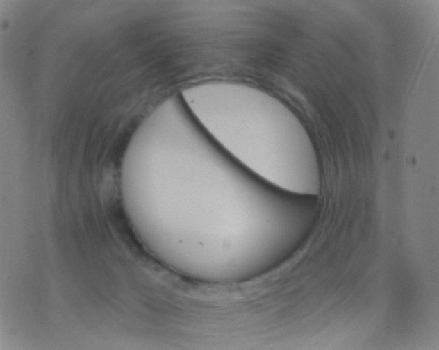 X0000074300029200609081928