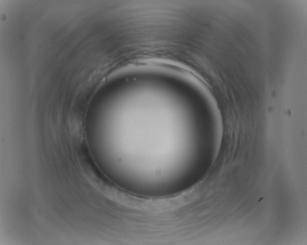 X0000074300031200609081928