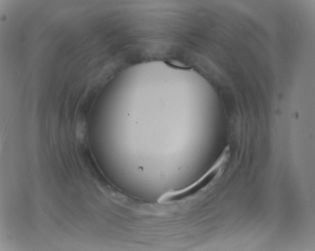 X0000074300033200609081928