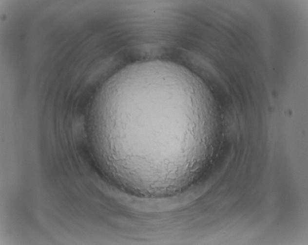 X0000074300034200609081928