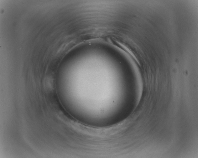 X0000074300035200609081928