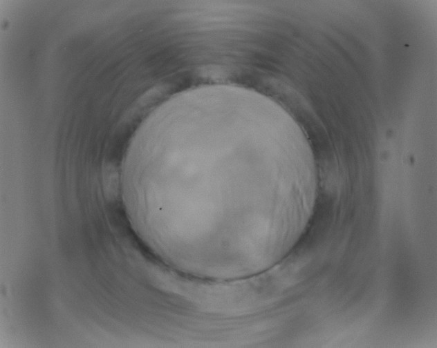 X0000074300036200609081928