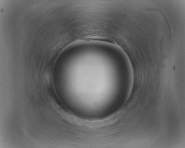 X0000074300039200609081928