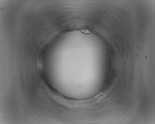 X0000074300040200609081928