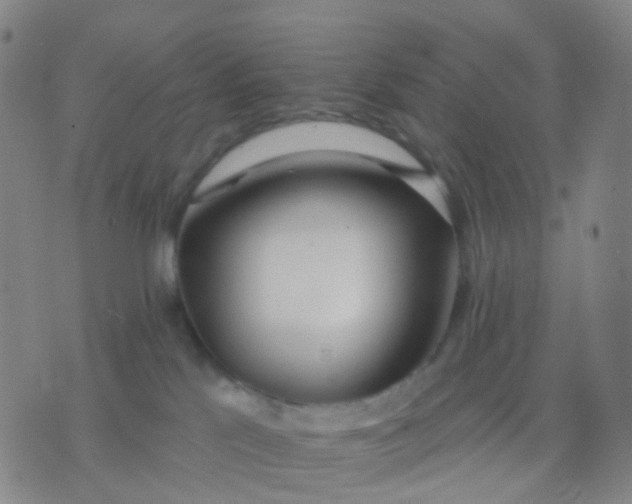 X0000074300041200609081928