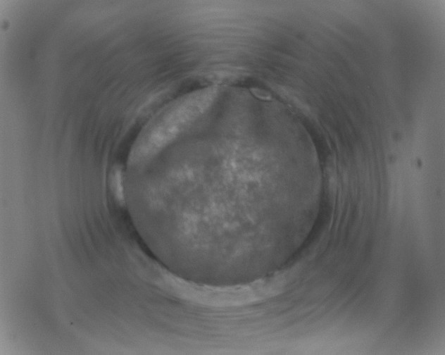 X0000074300042200609081928