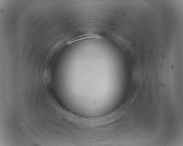 X0000074300043200609081928