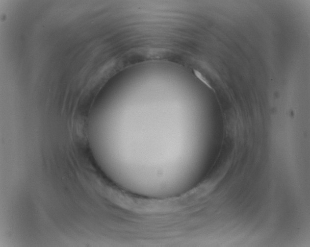 X0000074300044200609081928