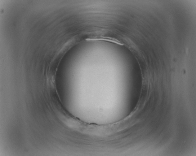 X0000074300045200609081928