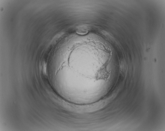 X0000074300046200609081928