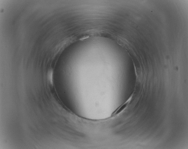 X0000074300047200609081928