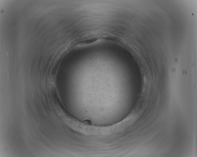 X0000074300048200609081928