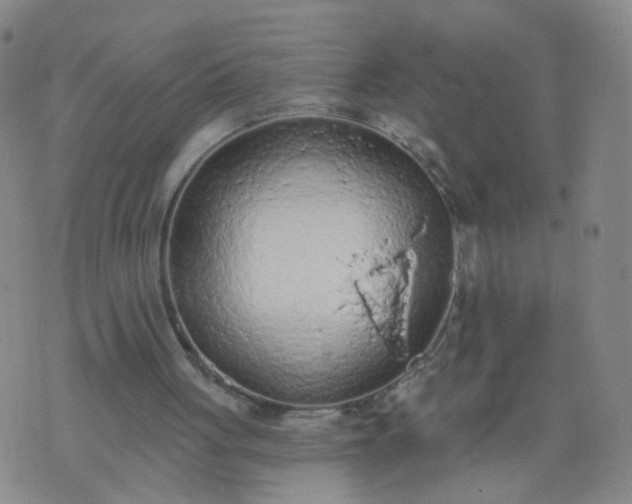 X0000074300051200609081927