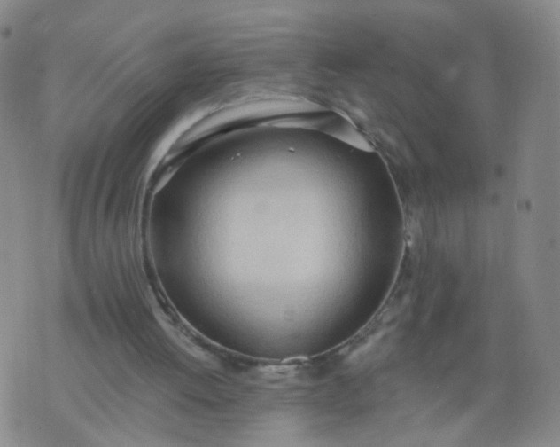 X0000074300052200609081927