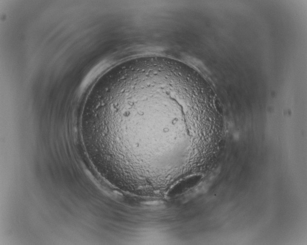 X0000074300053200609081927