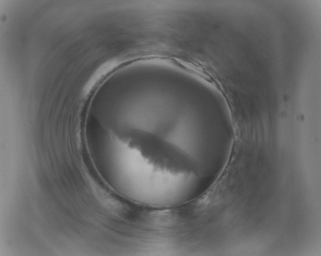 X0000074300054200609081927