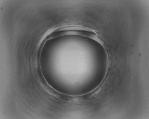 X0000074300056200609081927