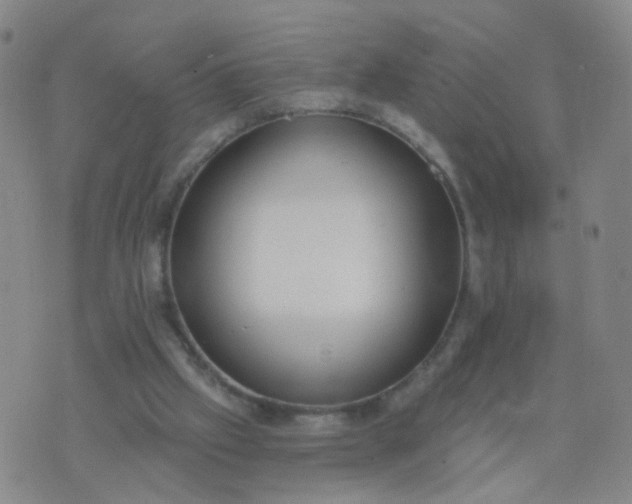 X0000074300057200609081927