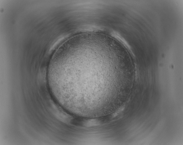 X0000074300058200609081927