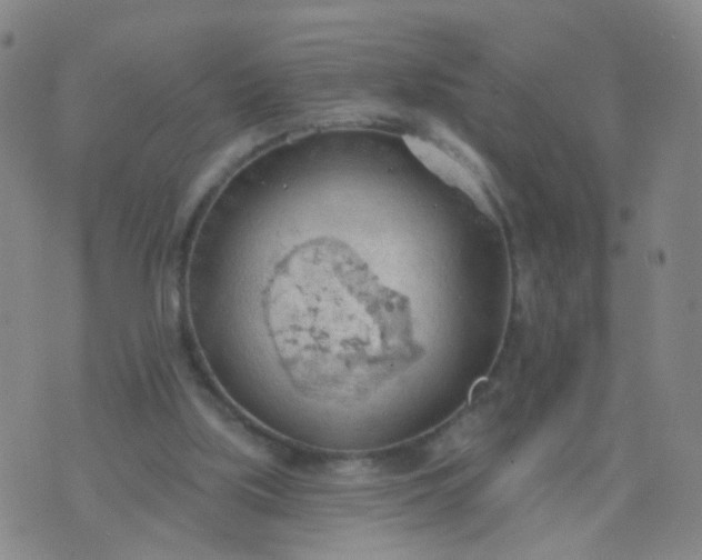 X0000074300059200609081927