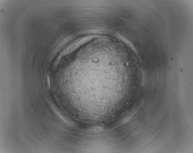 X0000074300061200609081927