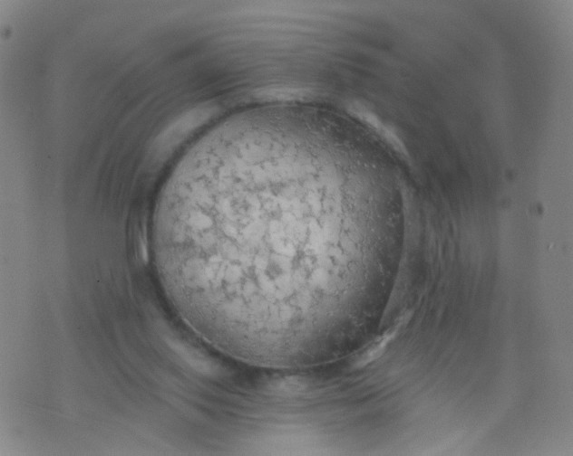 X0000074300062200609081927