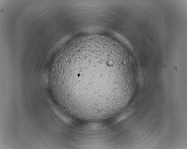 X0000074300065200609081927