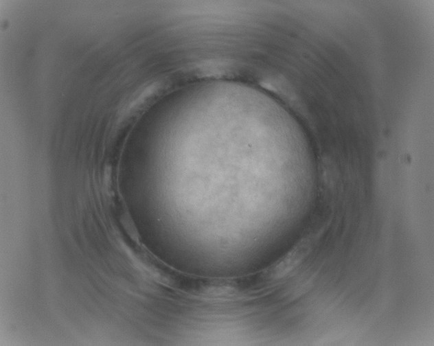 X0000074300066200609081927