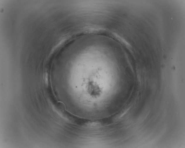 X0000074300067200609081927