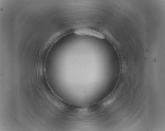 X0000074300068200609081927