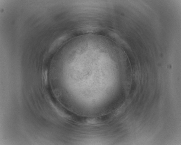 X0000074300070200609081927