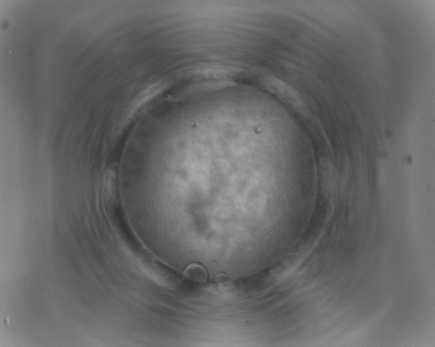 X0000074300071200609081927