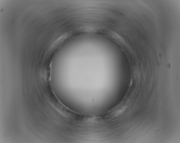 X0000074300072200609081927